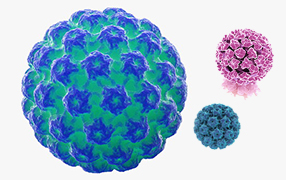 virus de papiloma humano guadalajara